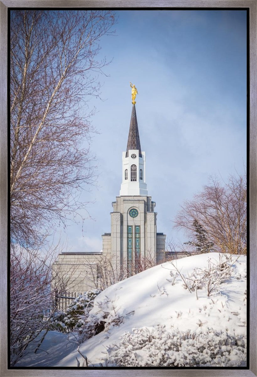 Boston Morning Snow Vertical