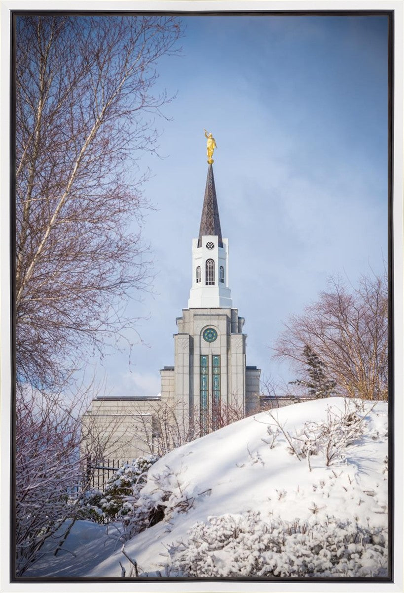 Boston Morning Snow Vertical