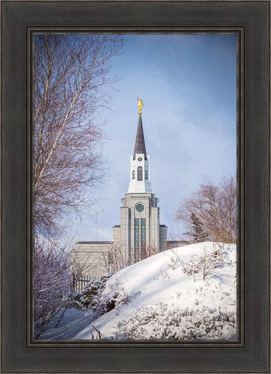 Boston Morning Snow Vertical