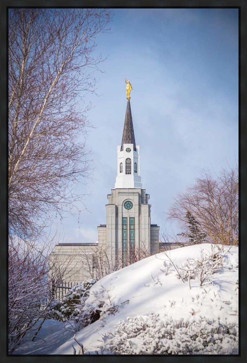 Boston Morning Snow Vertical