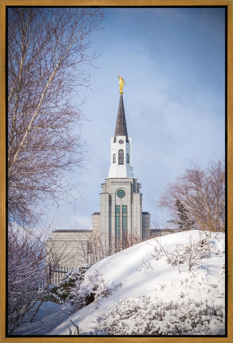 Boston Morning Snow Vertical