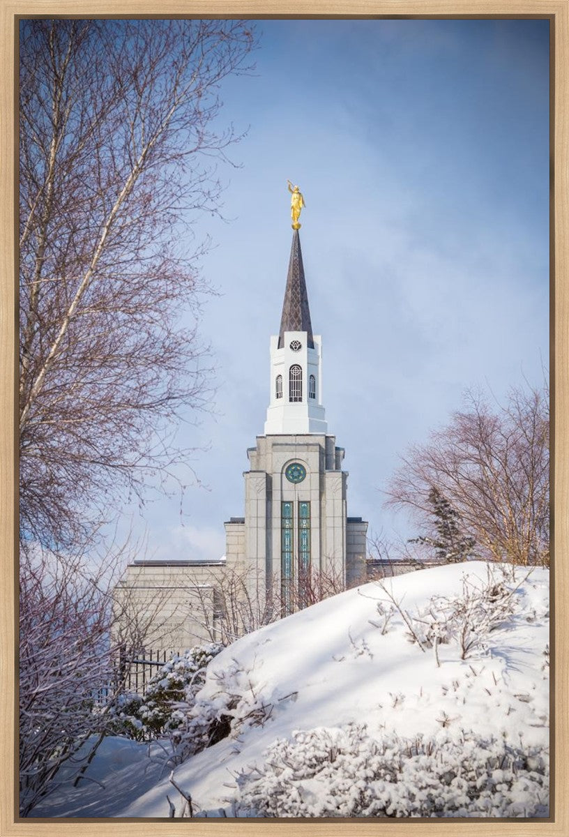 Boston Morning Snow Vertical