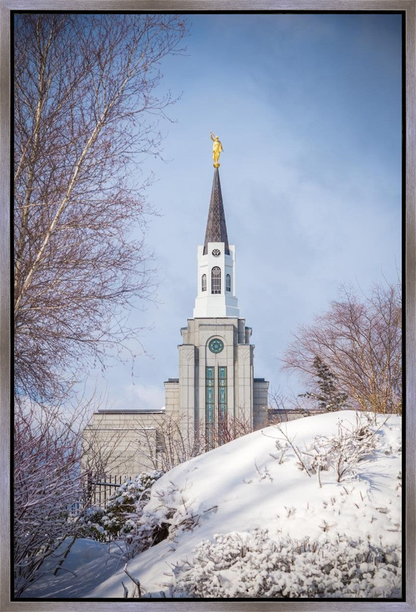 Boston Morning Snow Vertical