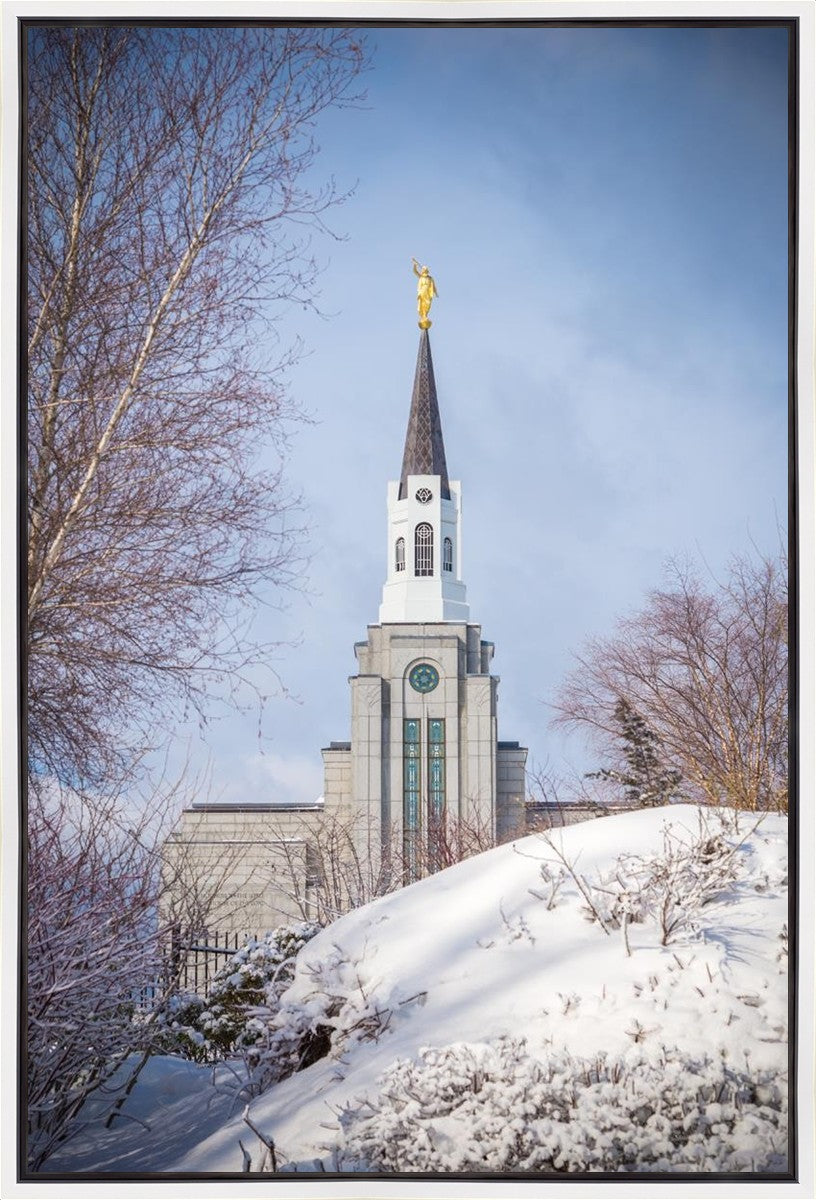 Boston Morning Snow Vertical