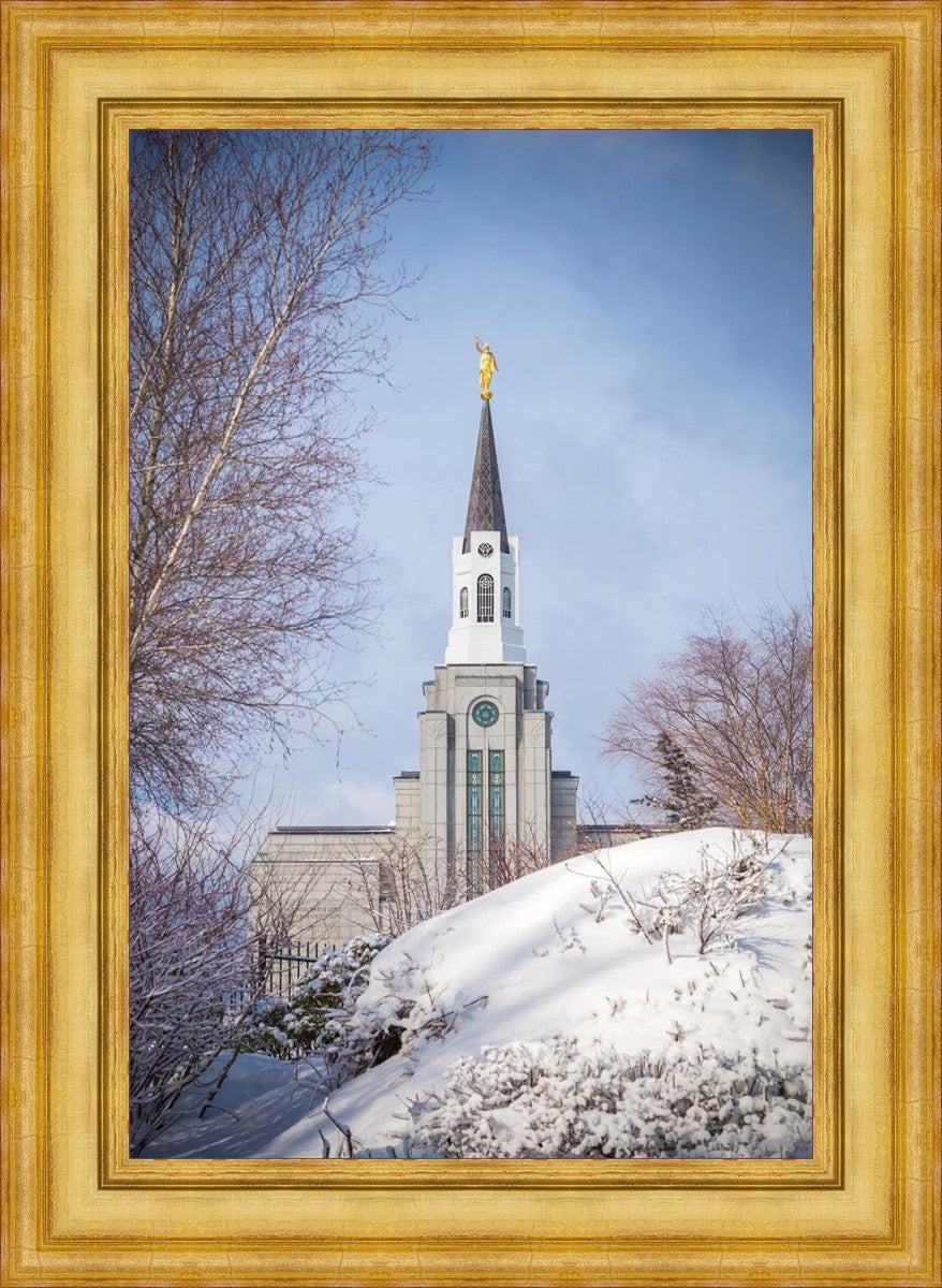 Boston Morning Snow Vertical