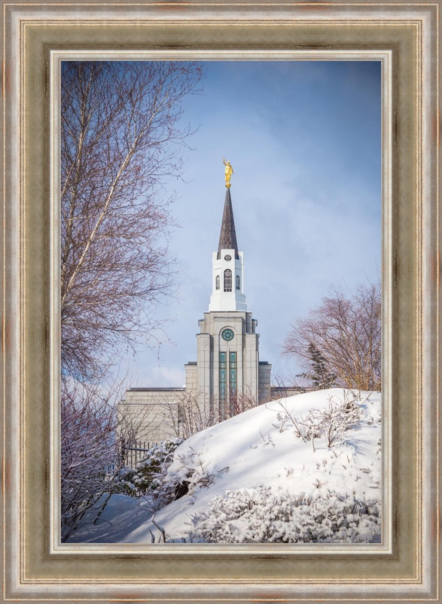 Boston Morning Snow Vertical