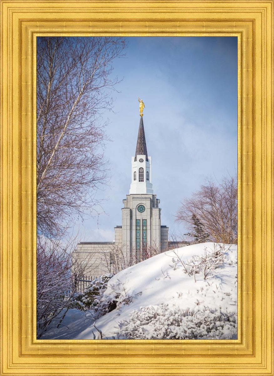 Boston Morning Snow Vertical