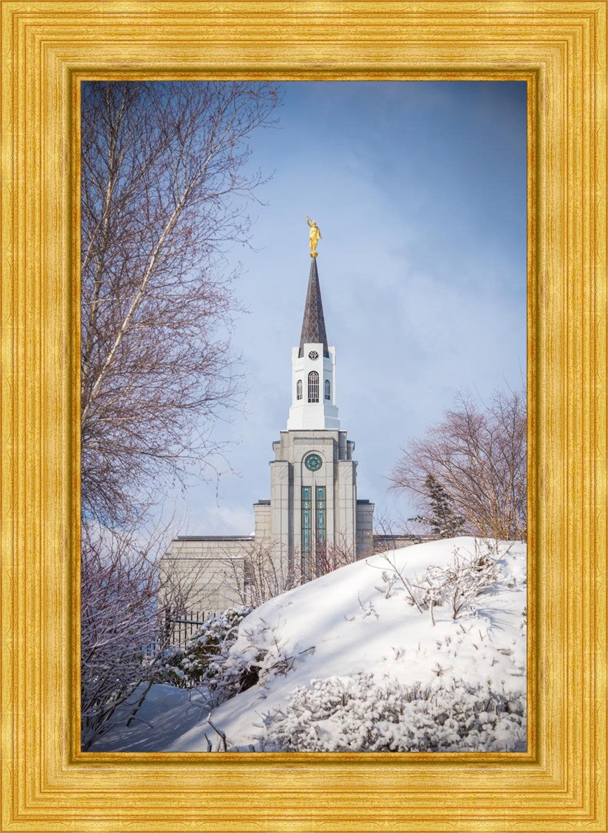 Boston Morning Snow Vertical