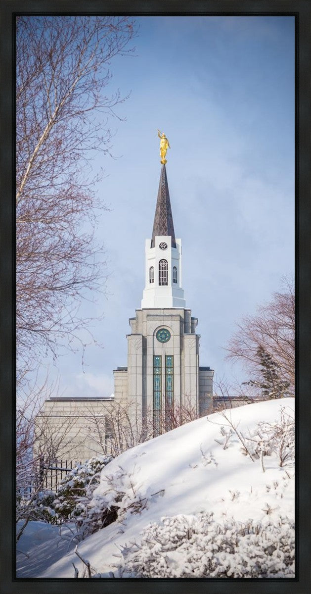 Boston Morning Snow Vertical