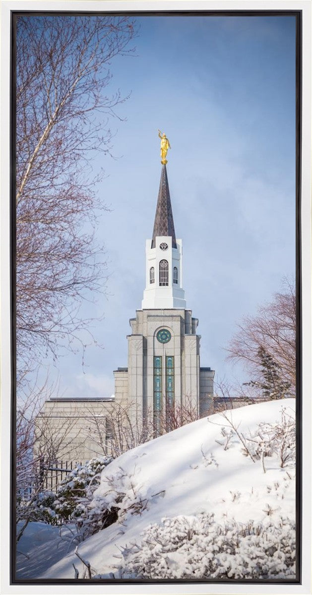 Boston Morning Snow Vertical