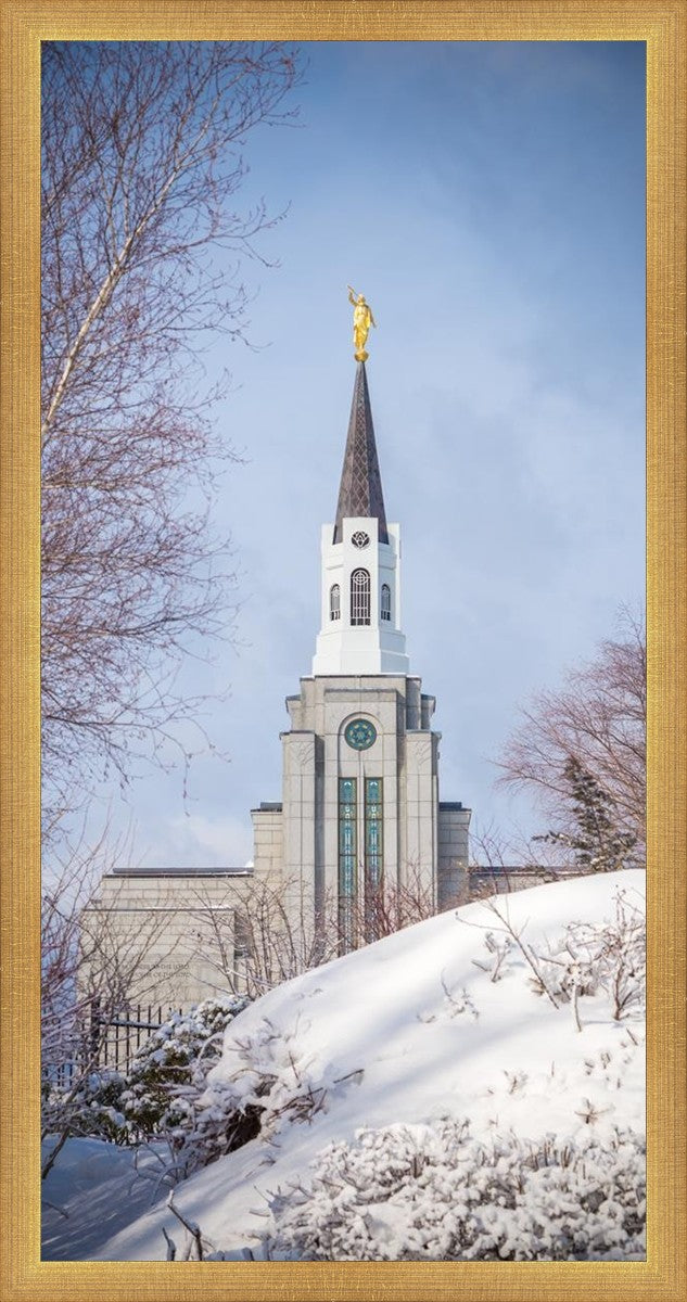 Boston Morning Snow Vertical