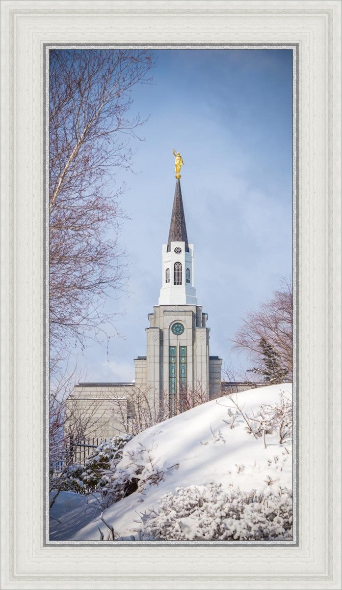 Boston Morning Snow Vertical