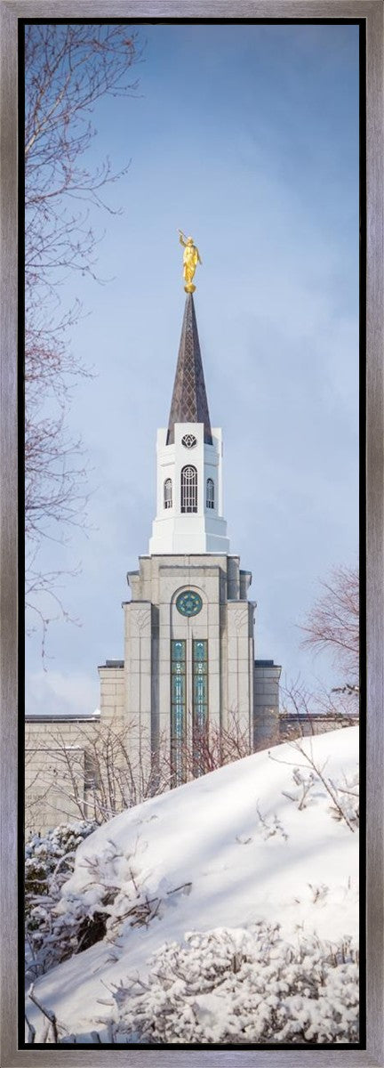 Boston Morning Snow Vertical