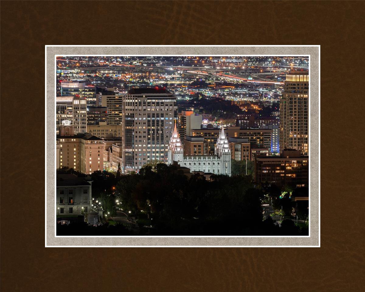 Salt Lake Temple City View