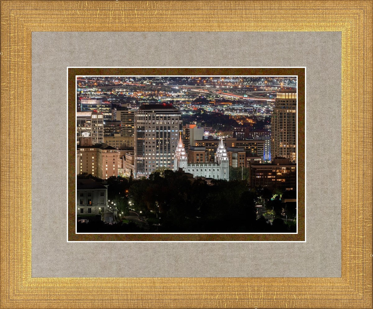 Salt Lake Temple City View