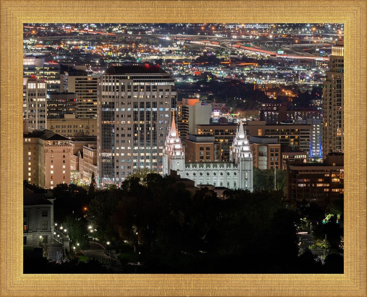 Salt Lake Temple City View