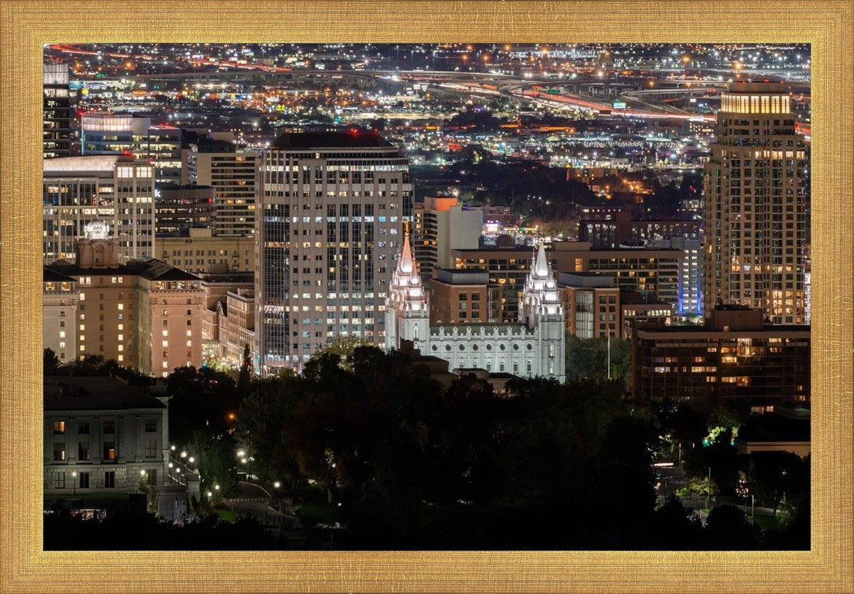 Salt Lake Temple City View