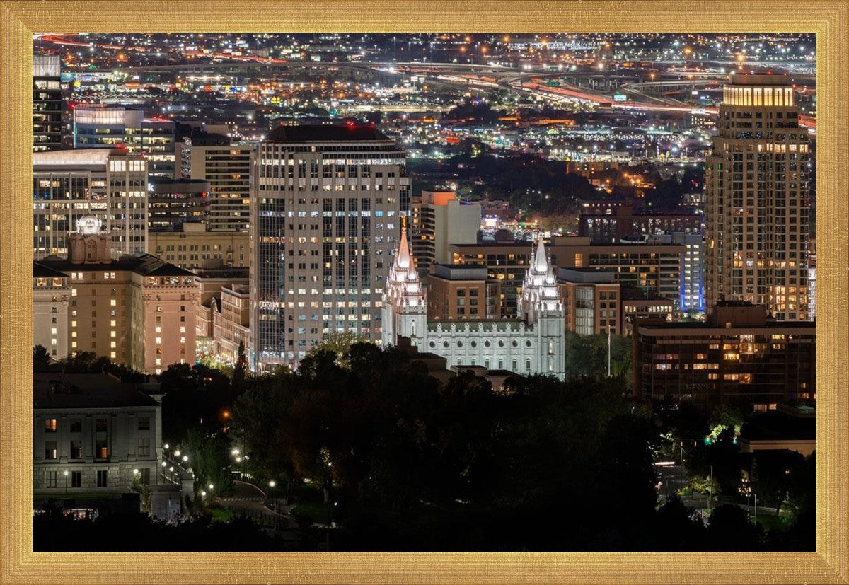 Salt Lake Temple City View