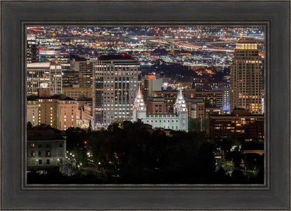Salt Lake Temple City View