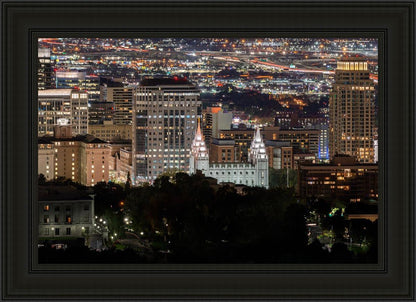 Salt Lake Temple City View