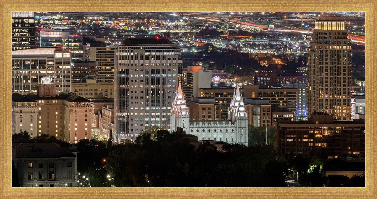 Salt Lake Temple City View