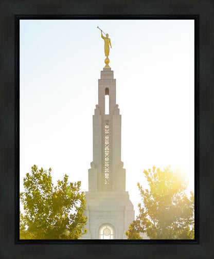 Redlands Temple Heavenly Glow Gallery Wrap