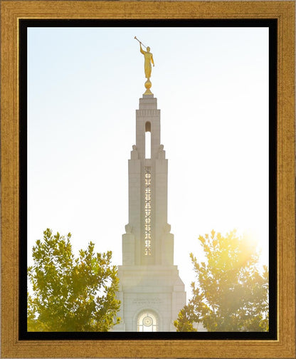 Redlands Temple Heavenly Glow Gallery Wrap
