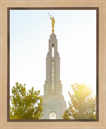 Redlands Temple Heavenly Glow Gallery Wrap