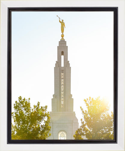 Redlands Temple Heavenly Glow Gallery Wrap