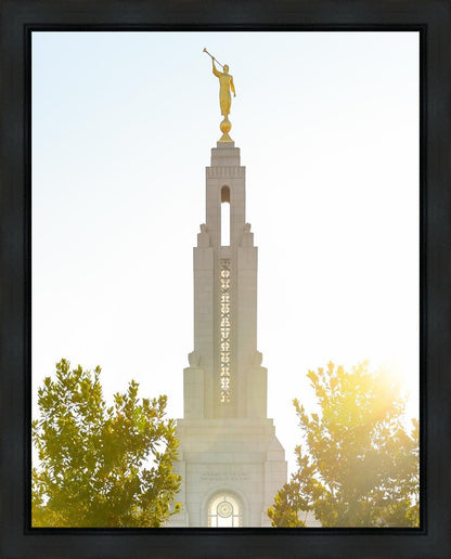 Redlands Temple Heavenly Glow Gallery Wrap