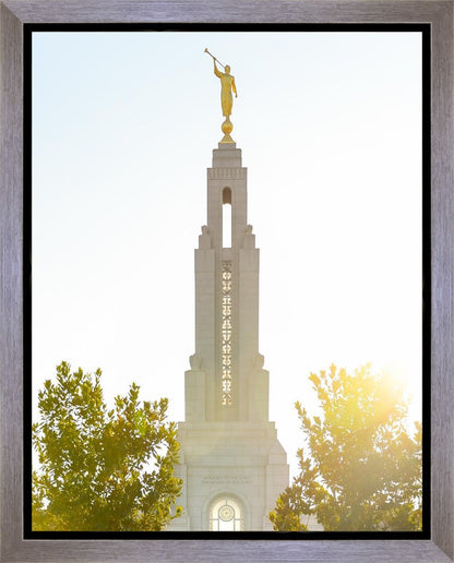 Redlands Temple Heavenly Glow Gallery Wrap