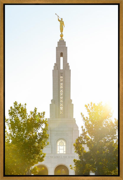 Redlands Temple Heavenly Glow Gallery Wrap