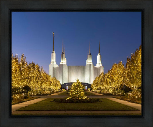 Washington DC Golden Christmas