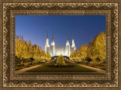 Washington DC Golden Christmas