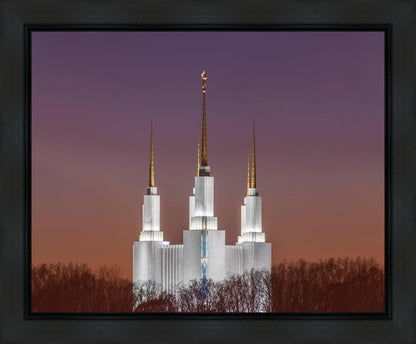 Washington DC Temple Evening Glow Gallery Wrap