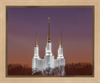 Washington DC Temple Evening Glow Gallery Wrap