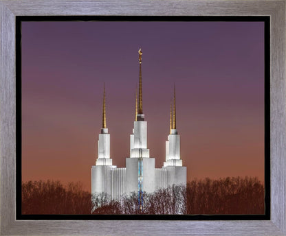 Washington DC Temple Evening Glow Gallery Wrap