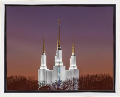 Washington DC Temple Evening Glow Gallery Wrap
