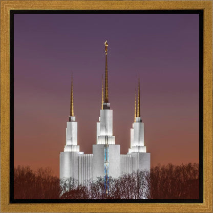 Washington DC Temple Evening Glow Gallery Wrap