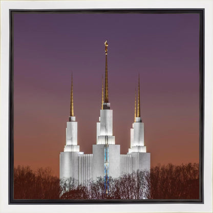 Washington DC Temple Evening Glow Gallery Wrap