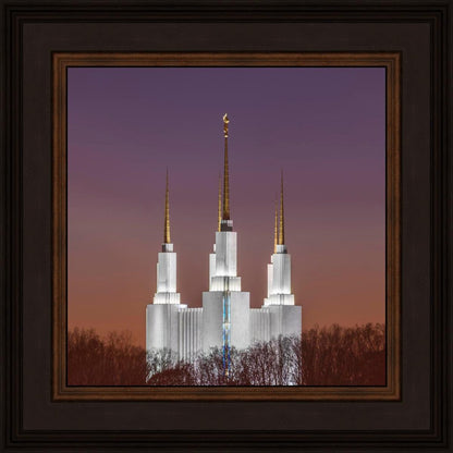 Washington DC Temple Evening Glow
