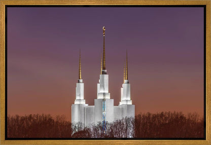 Washington DC Temple Evening Glow Gallery Wrap
