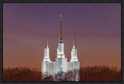 Washington DC Temple Evening Glow Gallery Wrap