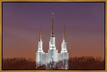 Washington DC Temple Evening Glow Gallery Wrap