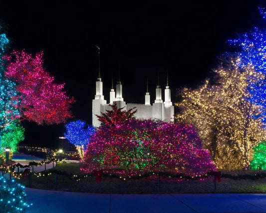 Washington DC Temple Colorful Christmas Gallery Wrap