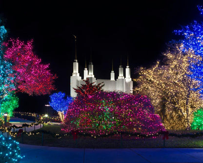 Washington DC Temple Colorful Christmas