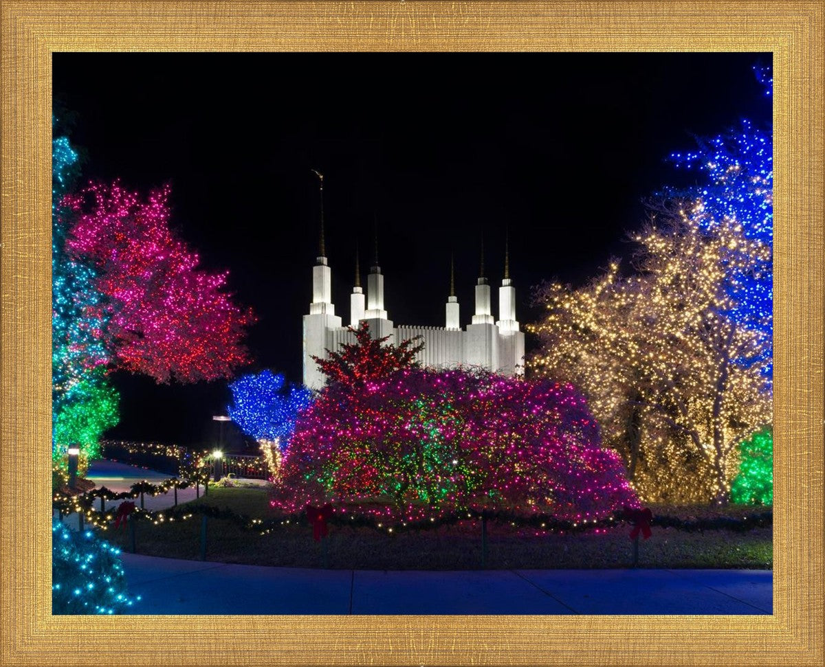 Washington DC Temple Colorful Christmas