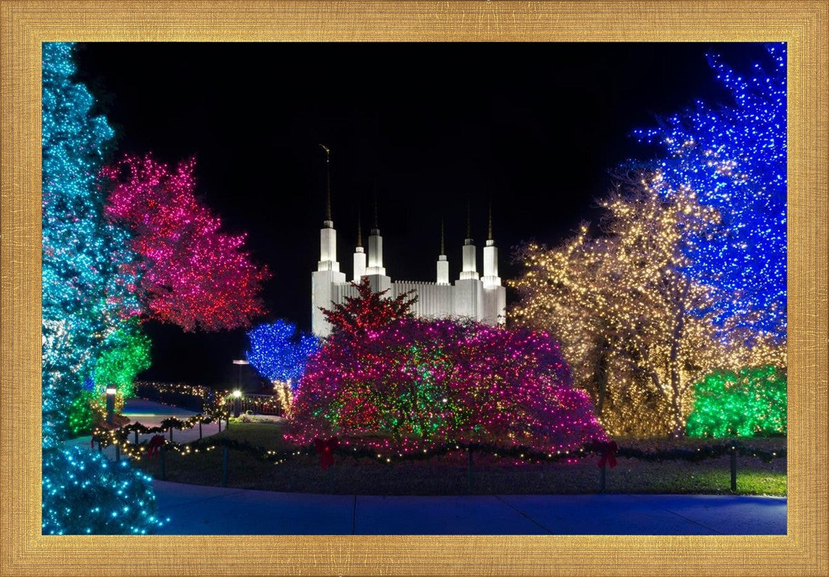 Washington DC Temple Colorful Christmas
