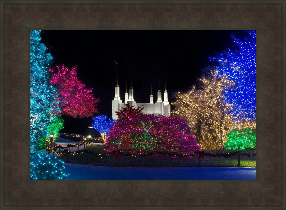 Washington DC Temple Colorful Christmas