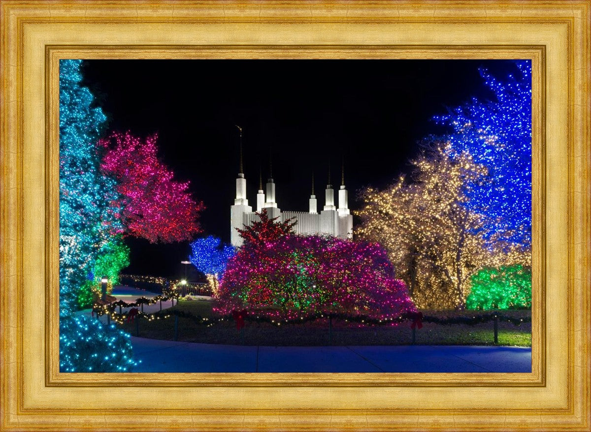 Washington DC Temple Colorful Christmas